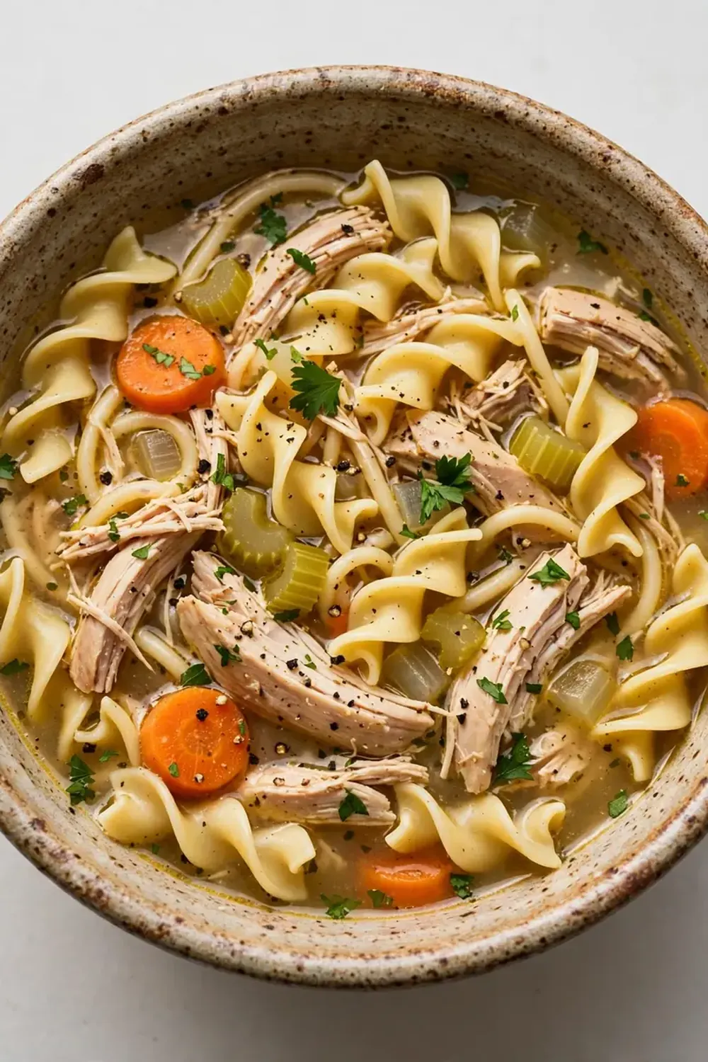 Crockpot Chicken Soup with Noodles
