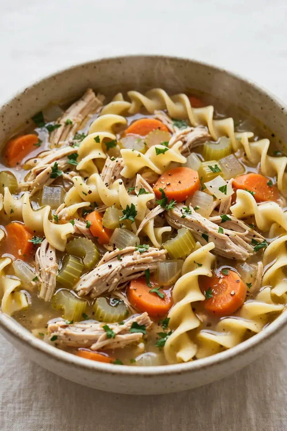 Crockpot Chicken Noodle Soup