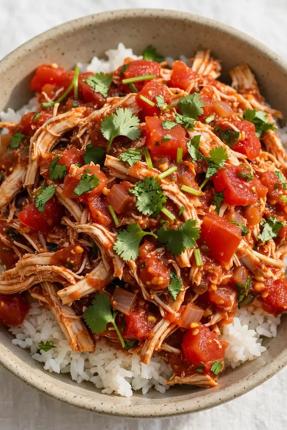 Dump-and-Go Crockpot Salsa Chicken